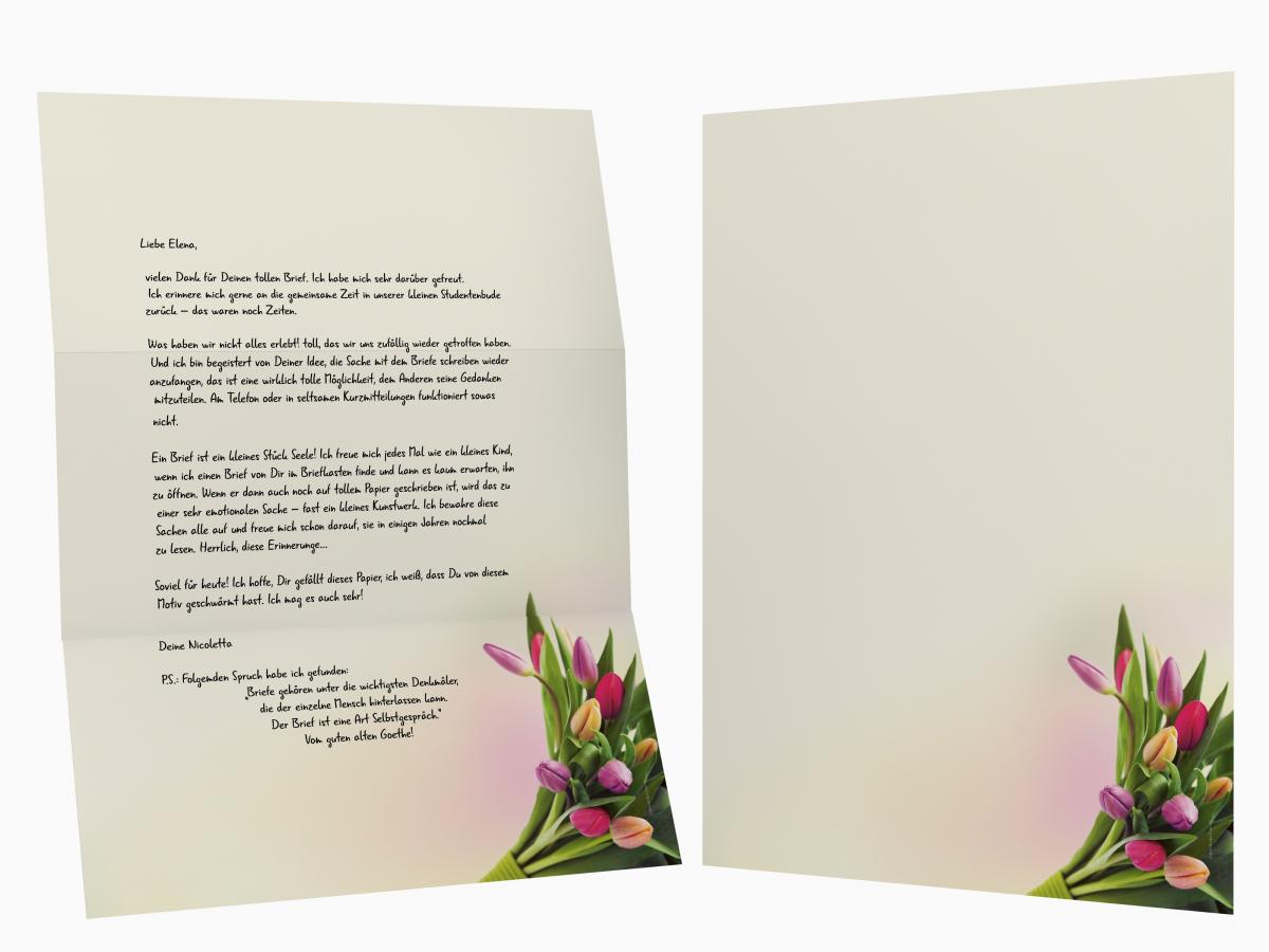 Motivpapier Tulpen im Sonnenlicht Briefpapier mit Motiv